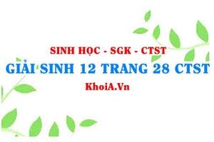 Giải Sinh 12 trang 28 Chân trời Sáng tạo